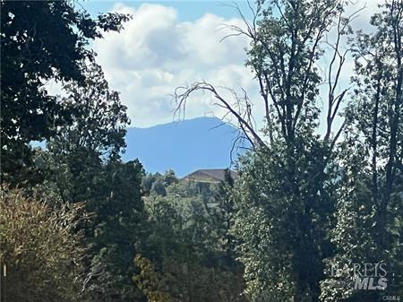 Detail Gallery Image 11 of 14 For 14934 Hoberg Dr, Cobb,  CA 95426 - – Beds | – Baths