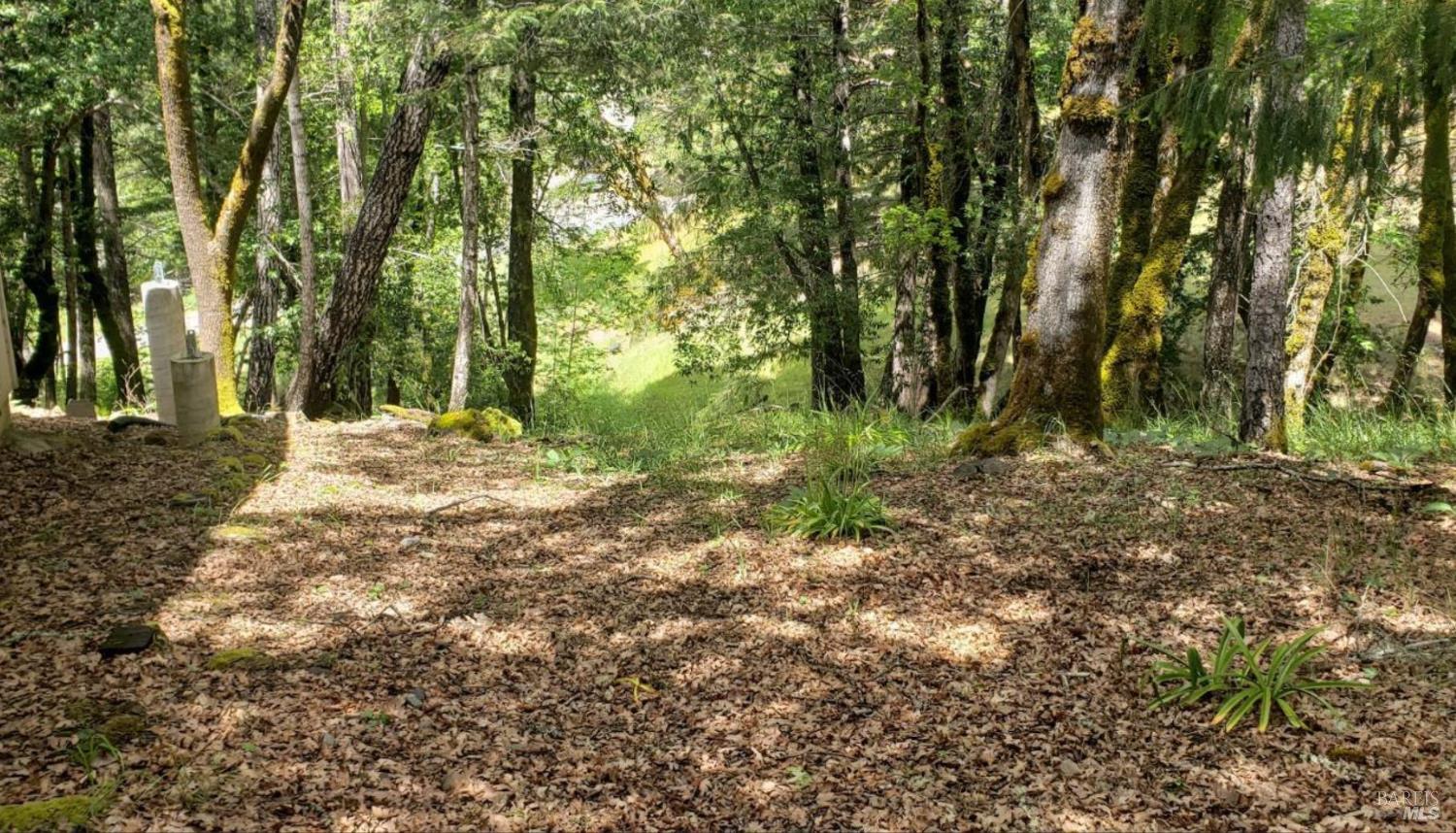 Detail Gallery Image 8 of 8 For 25530 Archer Ln, Willits,  CA 95490 - 2 Beds | 1/1 Baths