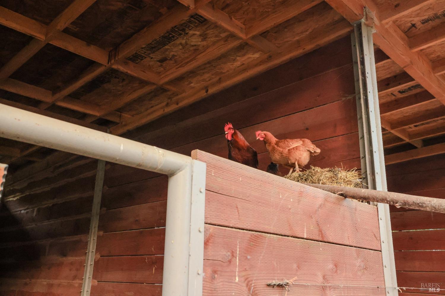 Detail Gallery Image 51 of 84 For 19801 Kelly Rd, Geyserville,  CA 95441 - 2 Beds | 3 Baths