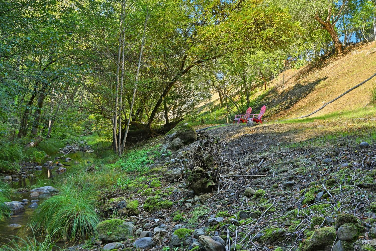 Detail Gallery Image 36 of 60 For 5251 Dry Creek Rd, Napa,  CA 94558 - 2 Beds | 2 Baths