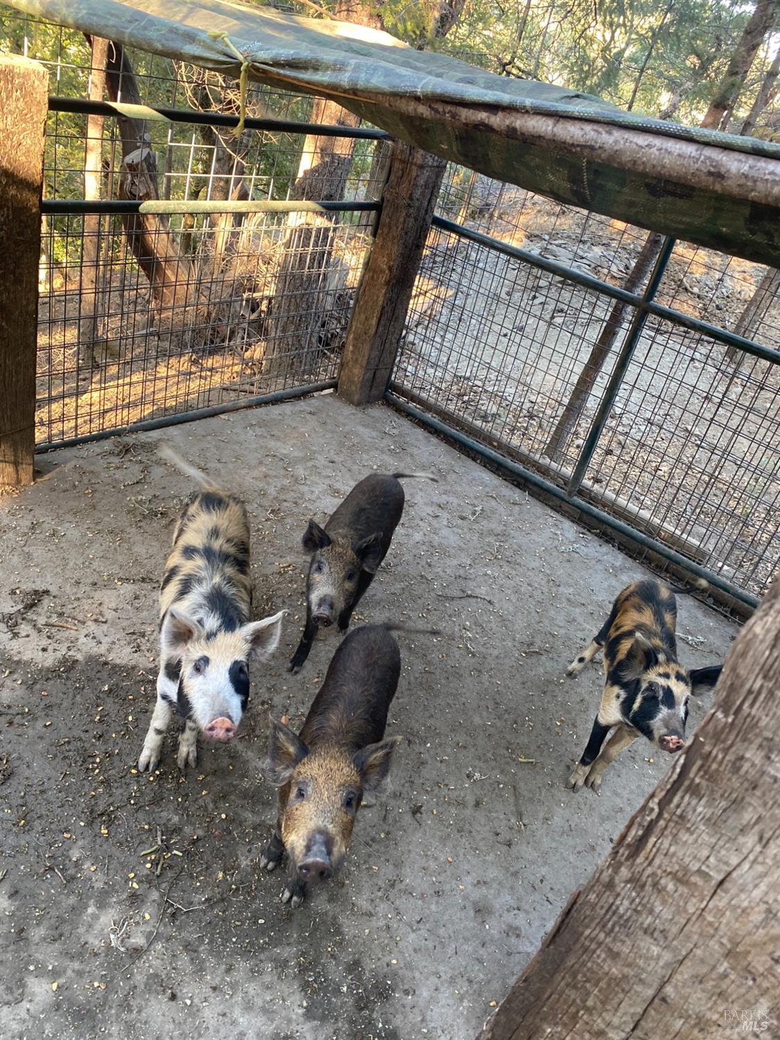 Detail Gallery Image 72 of 84 For 19801 Kelly Rd, Geyserville,  CA 95441 - 2 Beds | 3 Baths