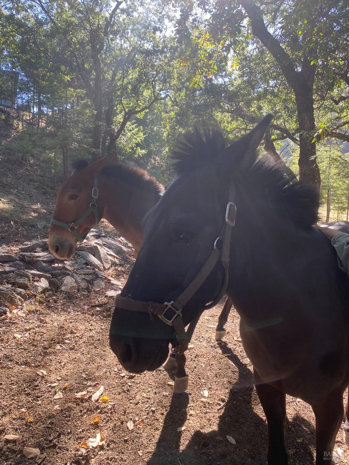 Detail Gallery Image 81 of 84 For 19801 Kelly Rd, Geyserville,  CA 95441 - 2 Beds | 3 Baths