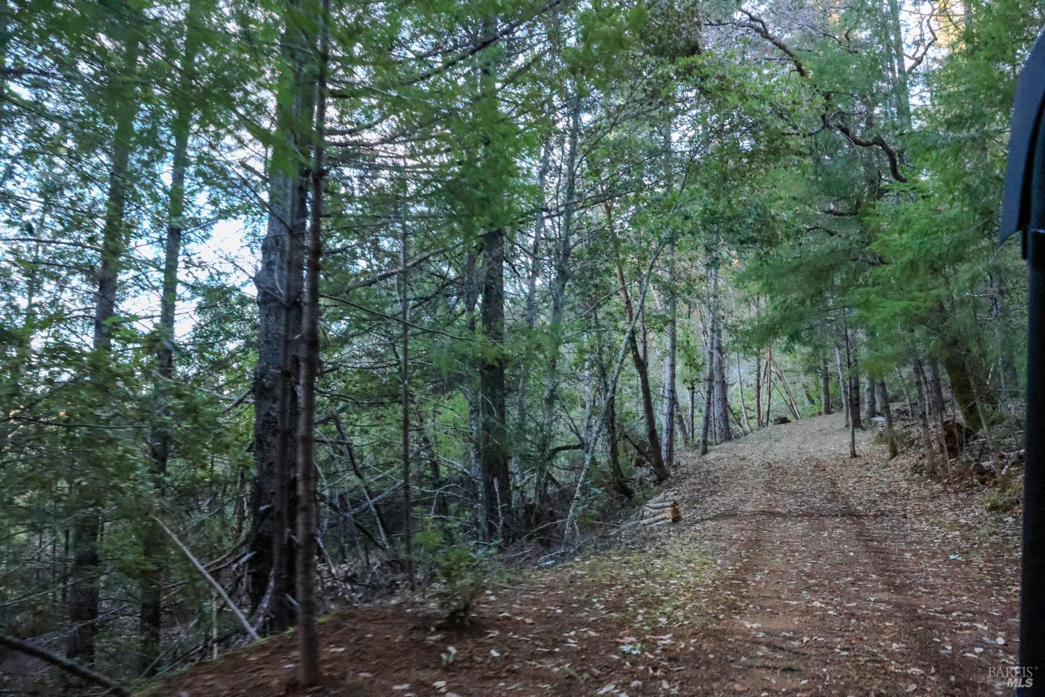 Detail Gallery Image 63 of 84 For 19801 Kelly Rd, Geyserville,  CA 95441 - 2 Beds | 3 Baths