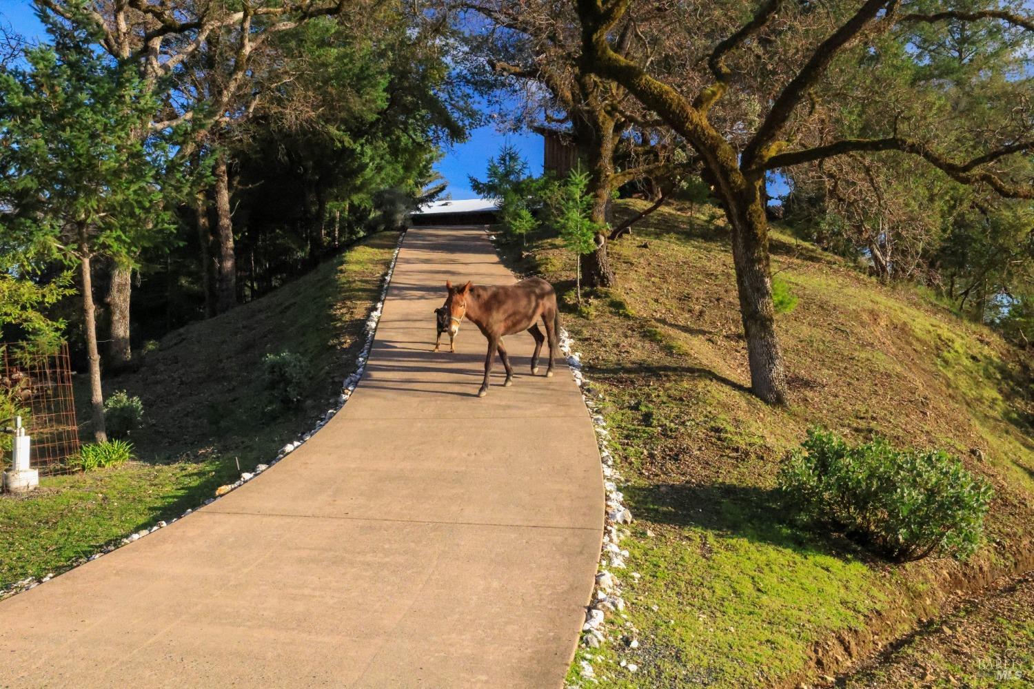 Detail Gallery Image 19 of 84 For 19801 Kelly Rd, Geyserville,  CA 95441 - 2 Beds | 3 Baths
