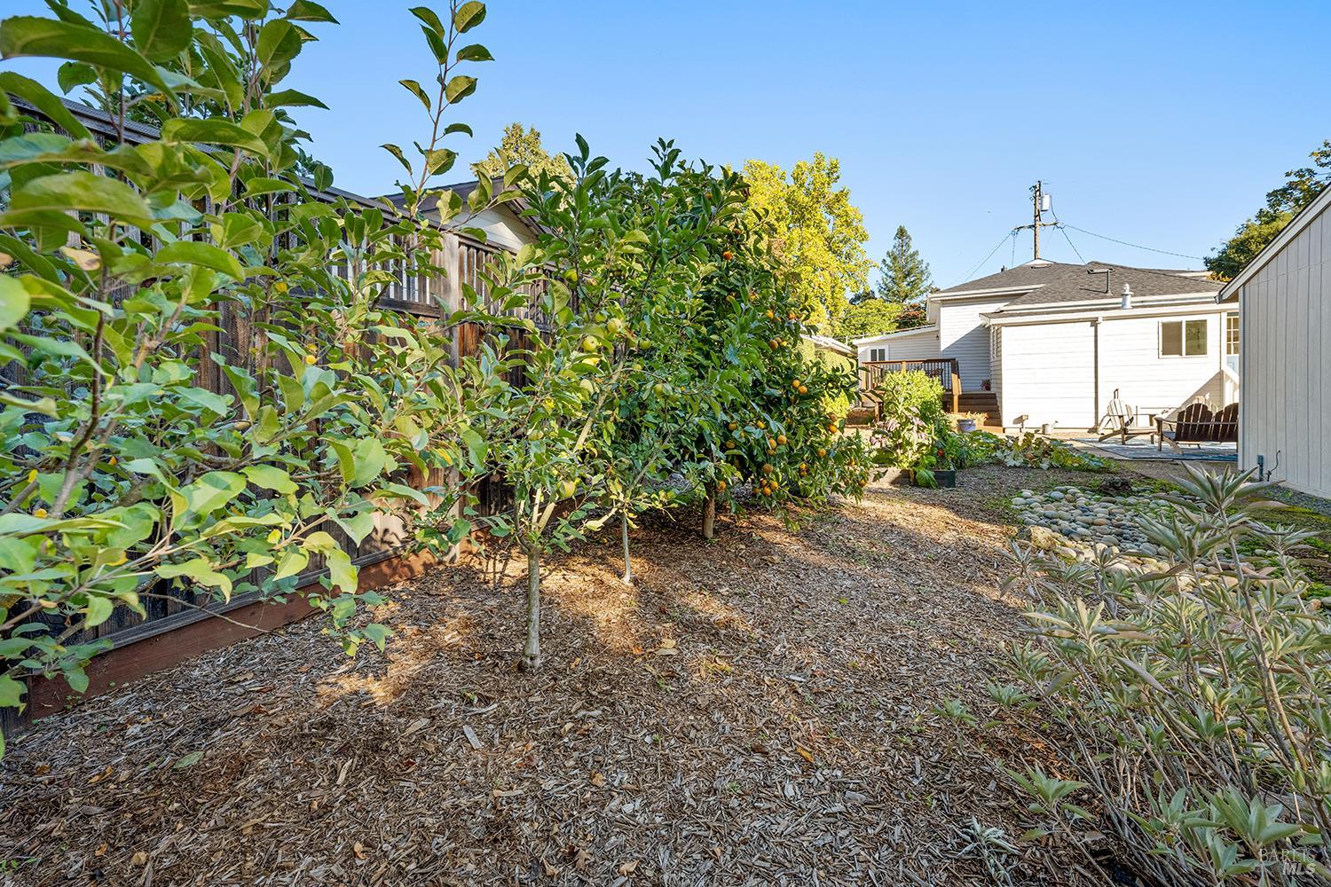 Detail Gallery Image 41 of 47 For 763 Beaver St, Santa Rosa,  CA 95404 - 3 Beds | 2 Baths