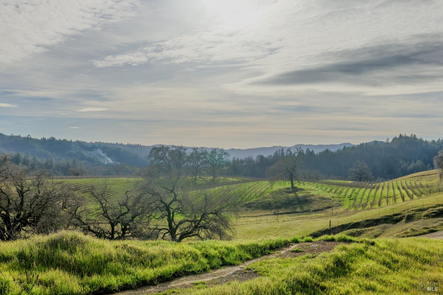 Detail Gallery Image 20 of 84 For 19801 Kelly Rd, Geyserville,  CA 95441 - 2 Beds | 3 Baths