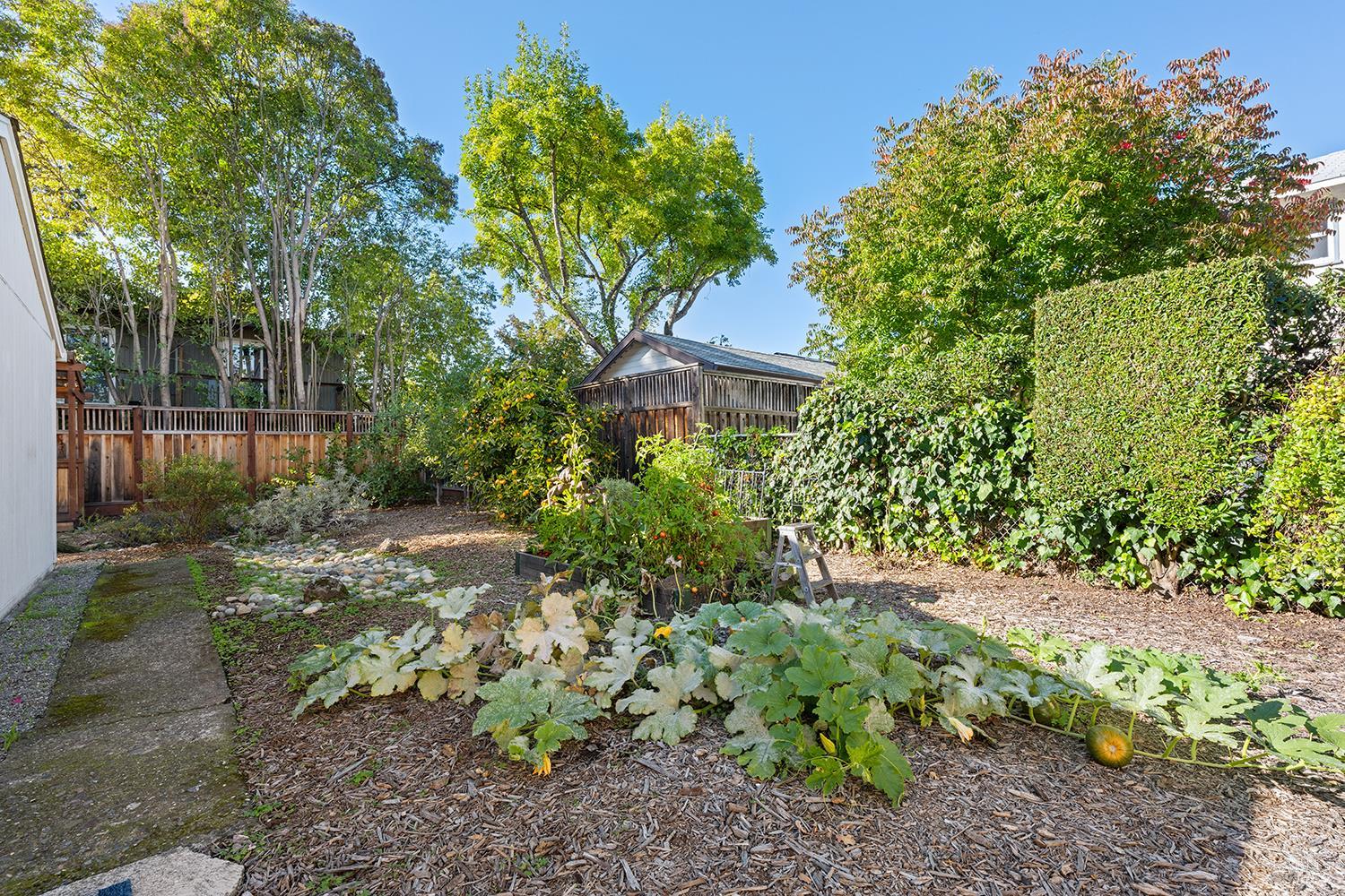 Detail Gallery Image 11 of 47 For 763 Beaver St, Santa Rosa,  CA 95404 - 3 Beds | 2 Baths