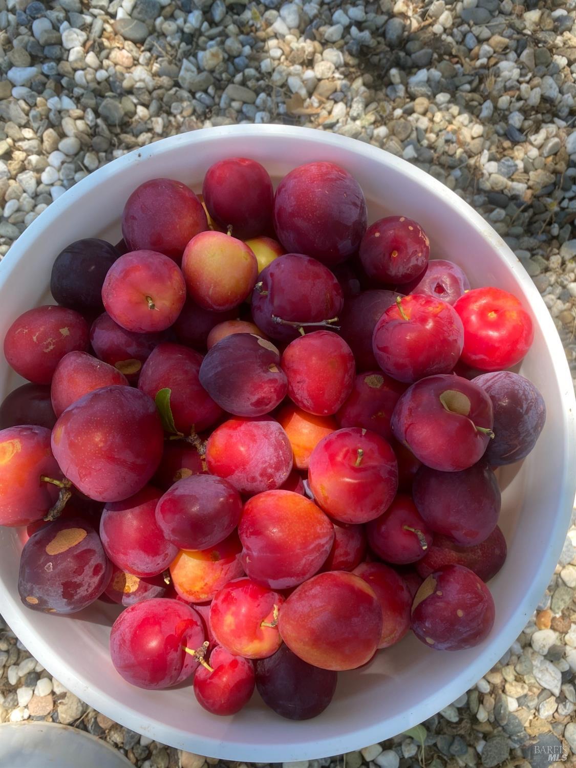 Detail Gallery Image 83 of 84 For 19801 Kelly Rd, Geyserville,  CA 95441 - 2 Beds | 3 Baths