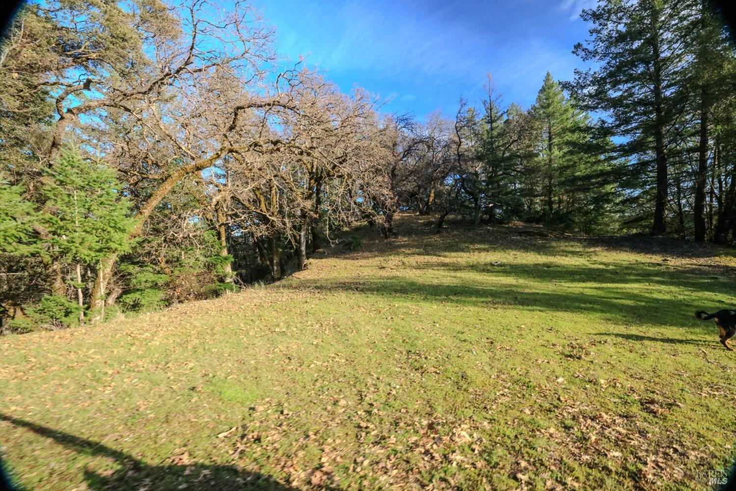 Detail Gallery Image 52 of 84 For 19801 Kelly Rd, Geyserville,  CA 95441 - 2 Beds | 3 Baths