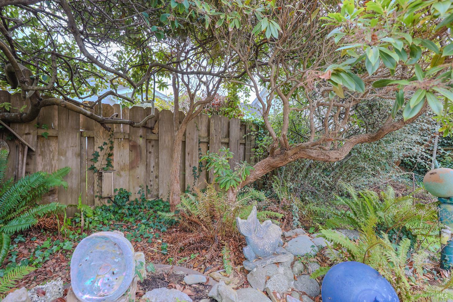 Detail Gallery Image 36 of 43 For 826 Cedar St, Fort Bragg,  CA 95437 - 2 Beds | 1 Baths