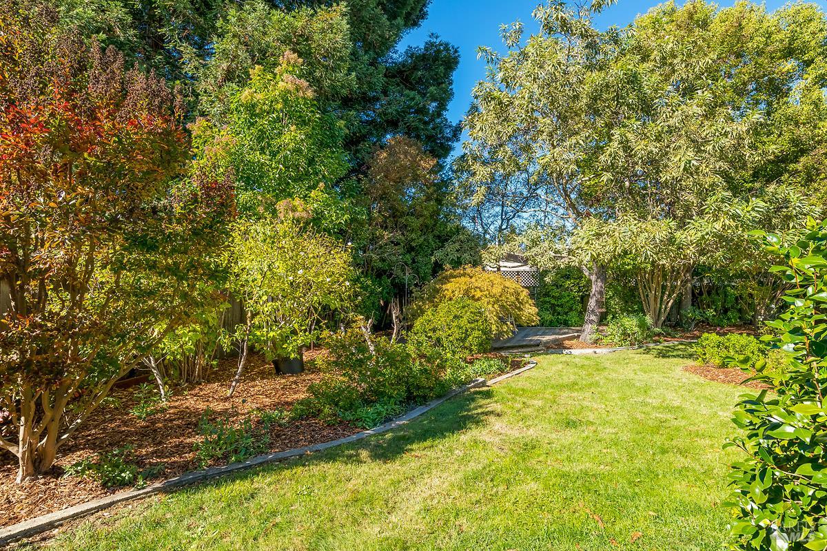 Detail Gallery Image 42 of 47 For 15 Betty Ln, Novato,  CA 94947 - 4 Beds | 2 Baths