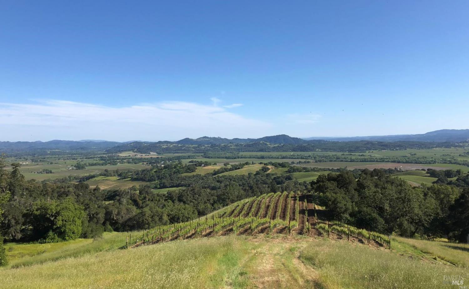 Detail Gallery Image 8 of 12 For 500 Artisan Cir, Geyserville,  CA 95441 - – Beds | – Baths