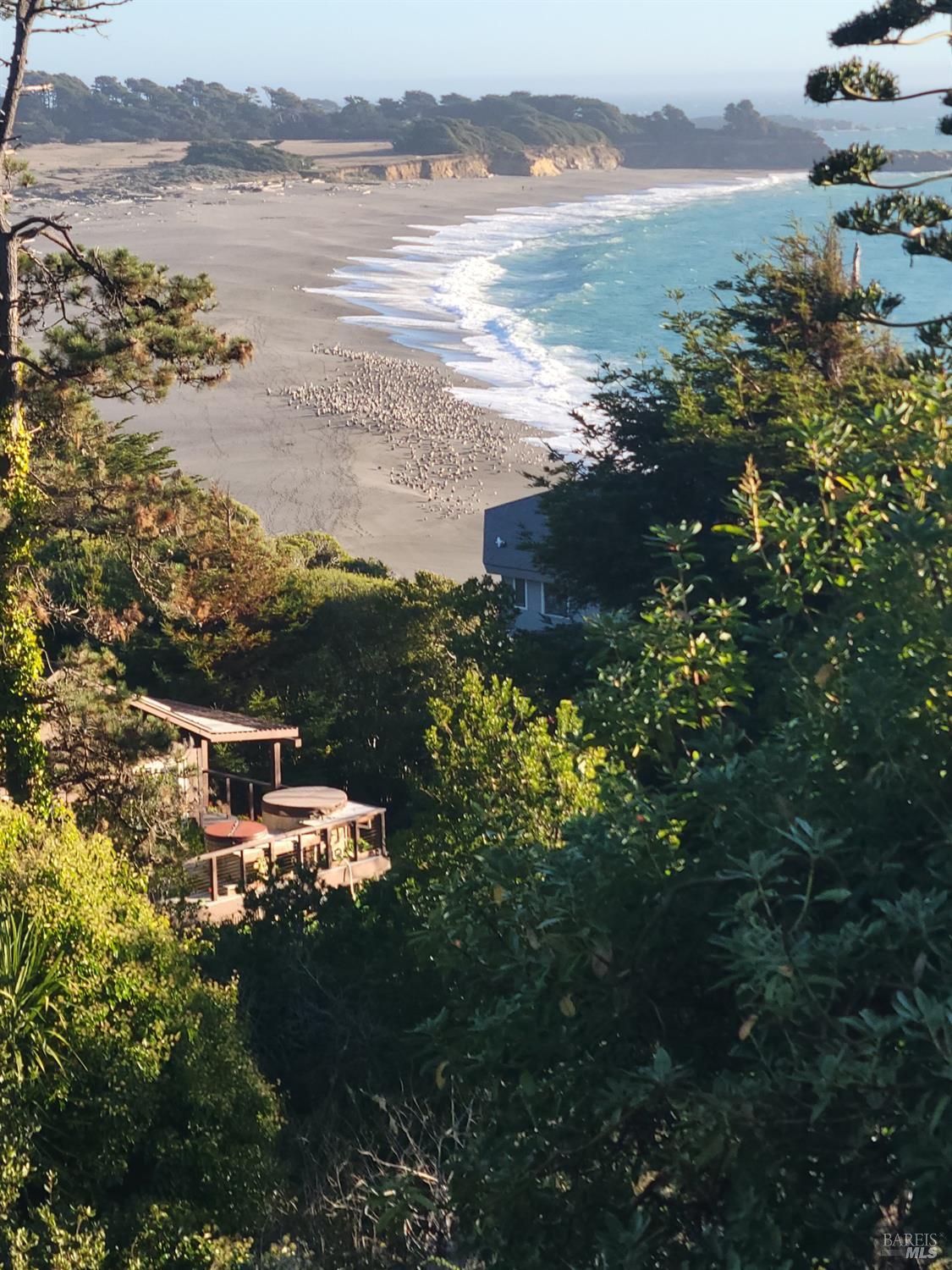 Front Image Thumbnail for BA325094964