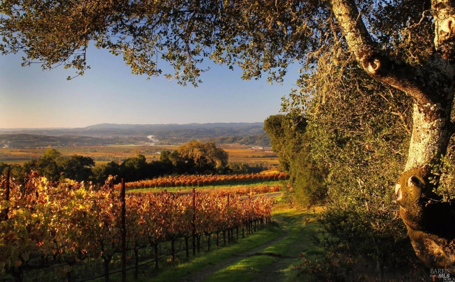 Detail Gallery Image 12 of 12 For 500 Artisan Cir, Geyserville,  CA 95441 - – Beds | – Baths