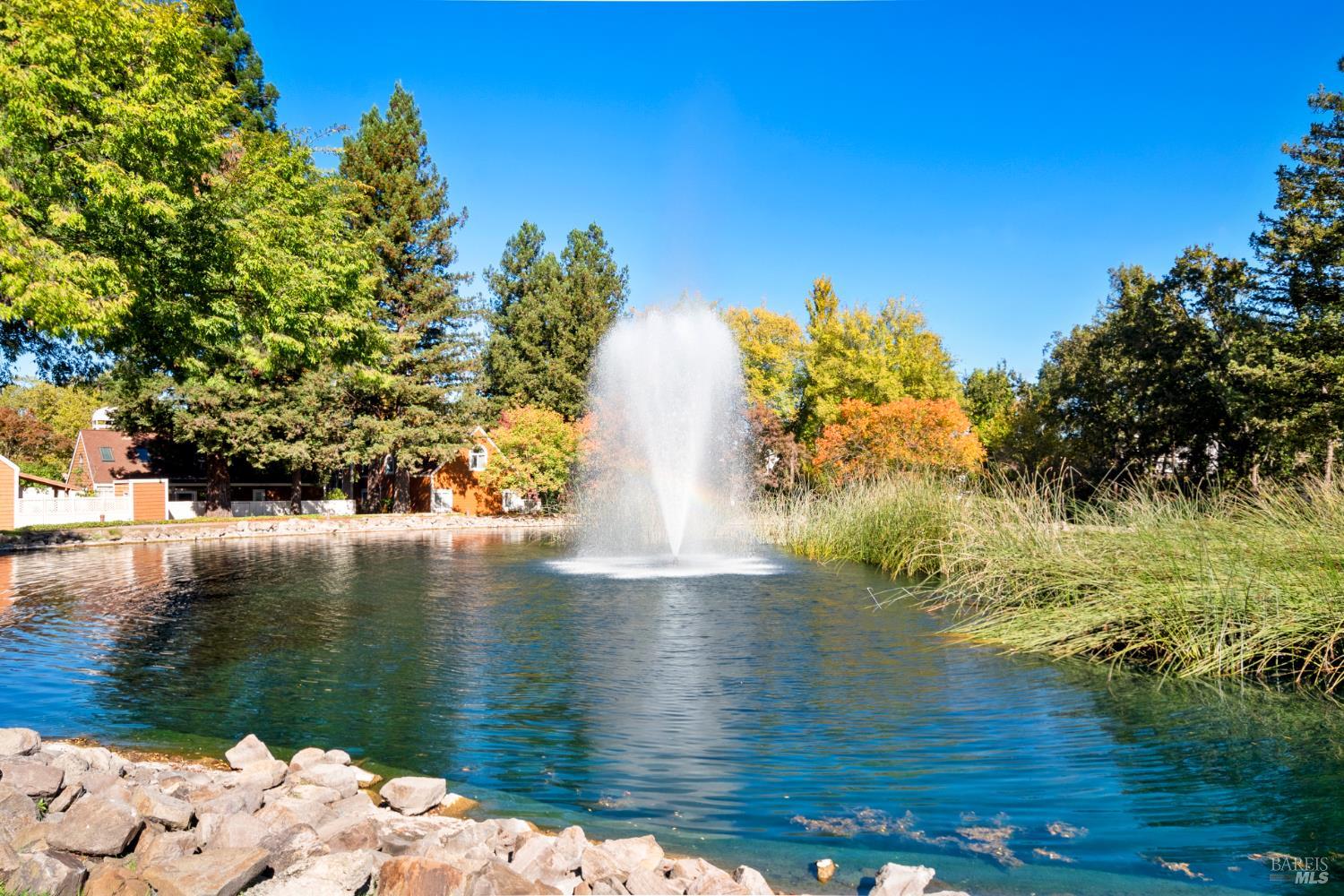 Detail Gallery Image 48 of 53 For 3315 Yulupa Ave, Santa Rosa,  CA 95405 - 3 Beds | 2 Baths