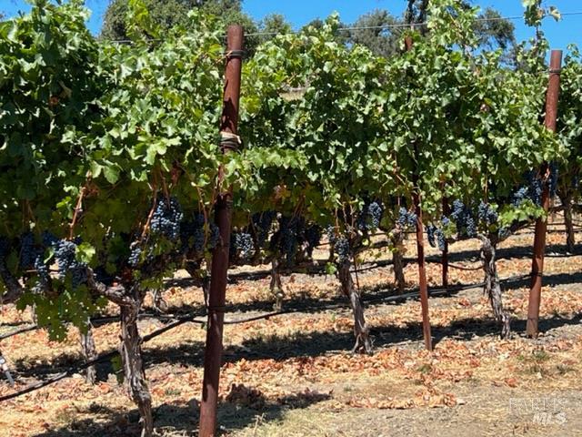 Detail Gallery Image 11 of 12 For 500 Artisan Cir, Geyserville,  CA 95441 - – Beds | – Baths