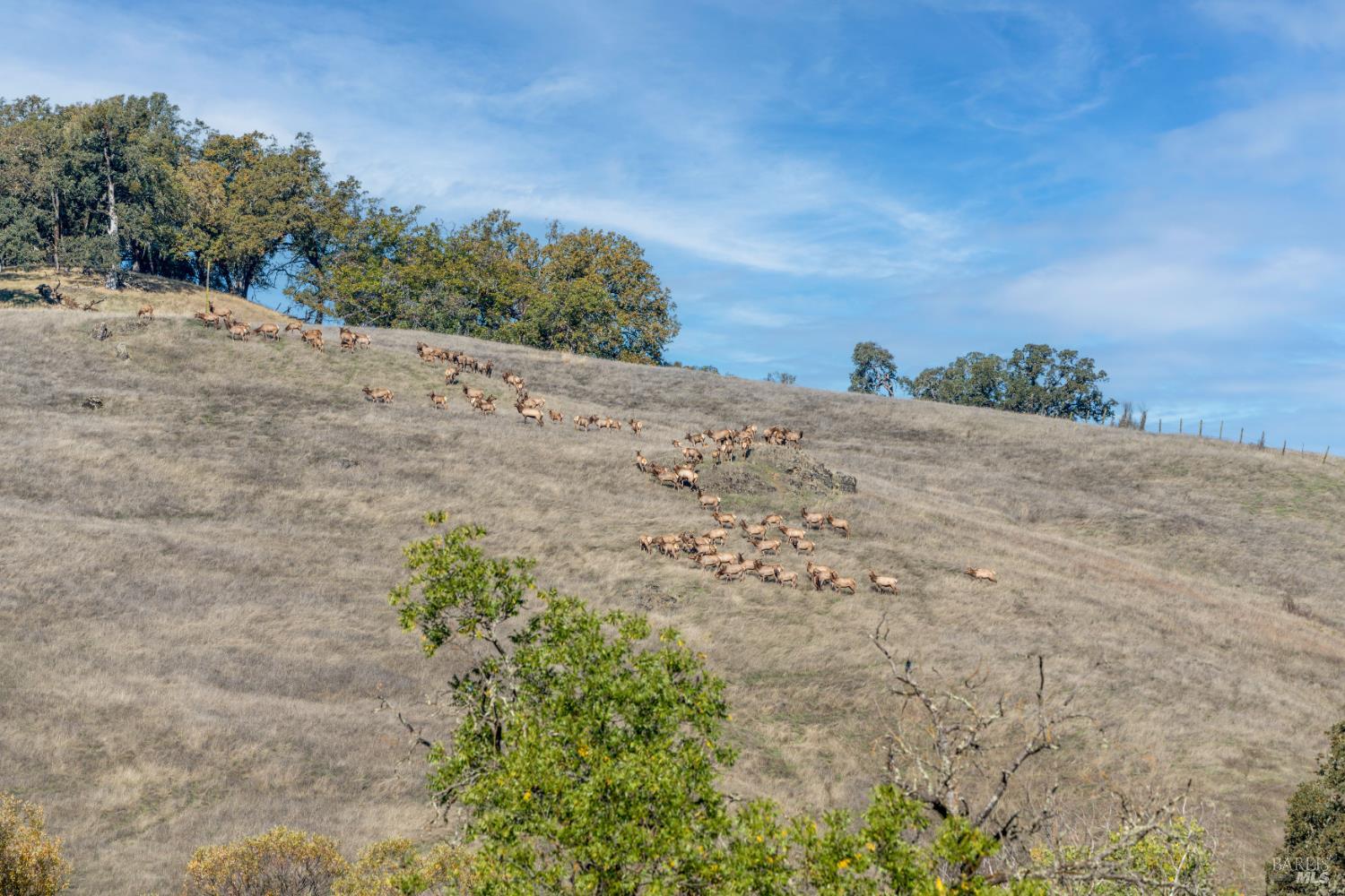Detail Gallery Image 38 of 40 For 7420 Eastside Potter Valley Rd, Ukiah,  CA 95482 - 3 Beds | 2 Baths