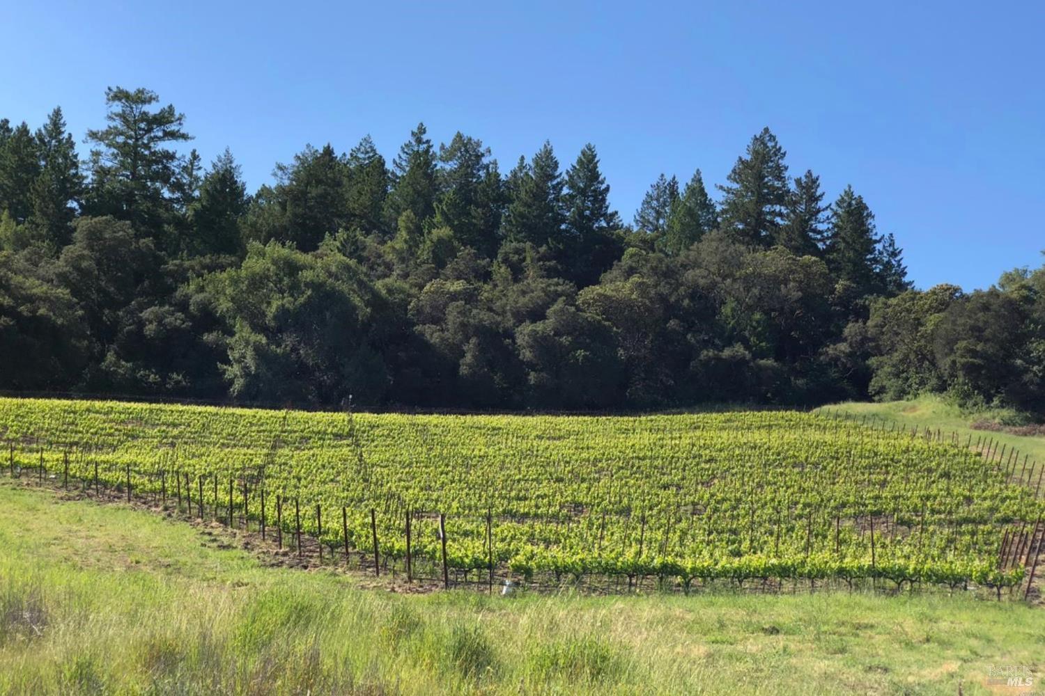 Detail Gallery Image 7 of 12 For 500 Artisan Cir, Geyserville,  CA 95441 - – Beds | – Baths