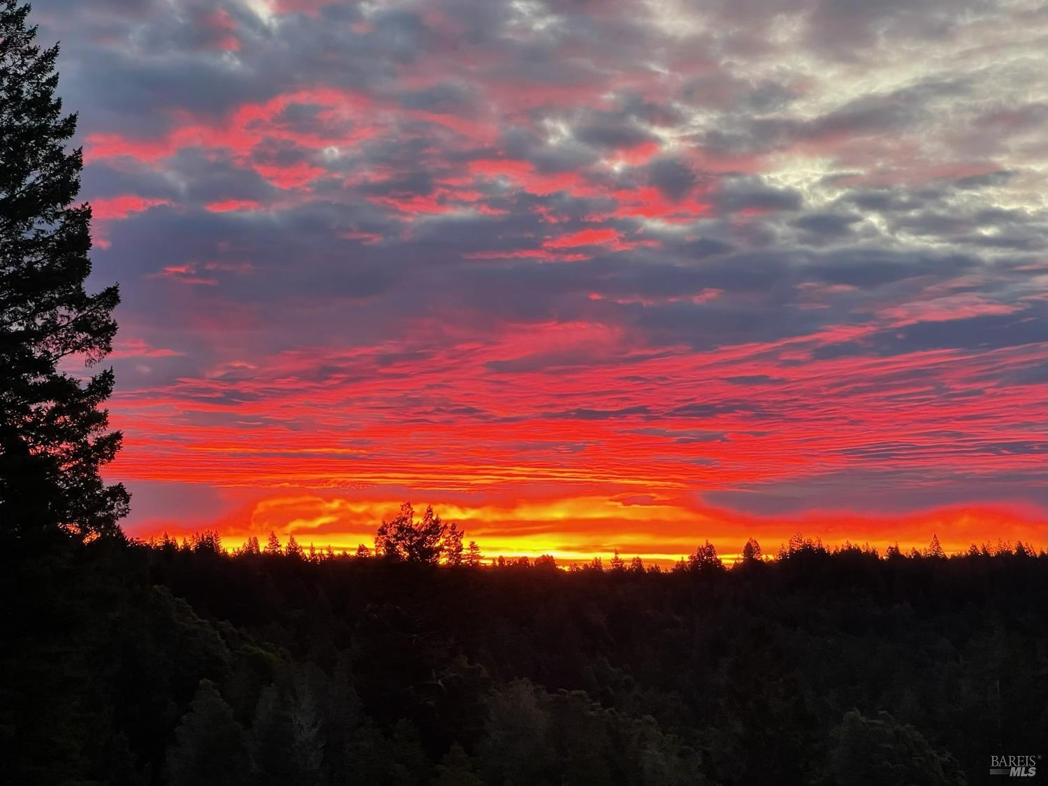 Detail Gallery Image 47 of 49 For 44801 Fish Rock Rd, Gualala,  CA 95445 - 3 Beds | 3 Baths