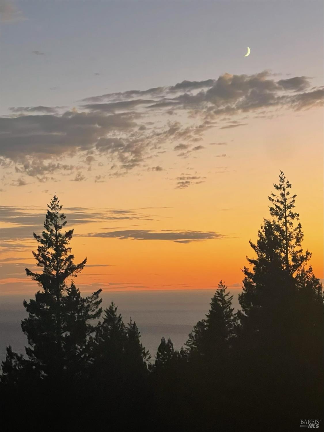 Detail Gallery Image 44 of 49 For 44801 Fish Rock Rd, Gualala,  CA 95445 - 3 Beds | 3 Baths