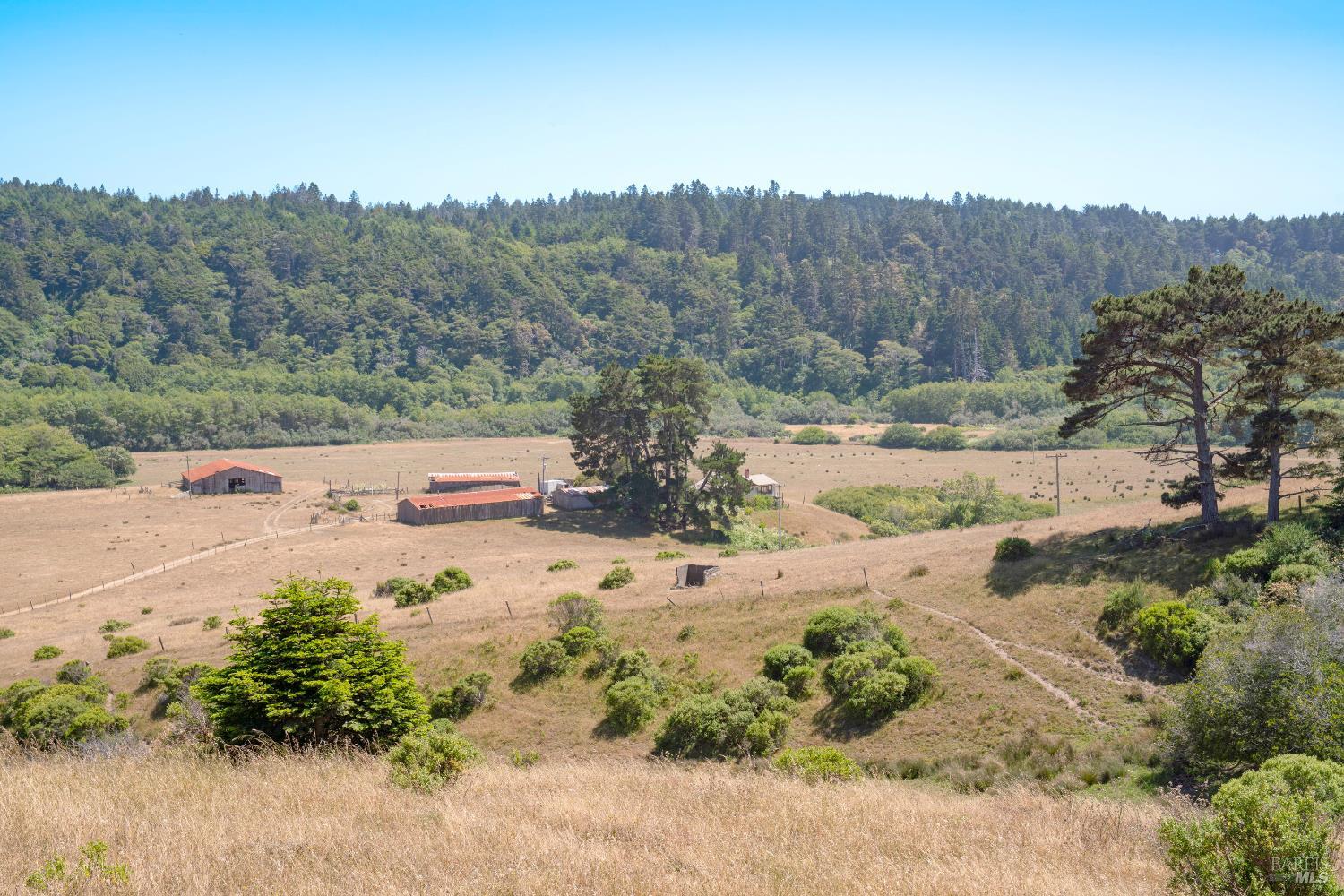 Detail Gallery Image 48 of 55 For 43001 Mountain View Rd, Manchester,  CA 95459 - – Beds | – Baths