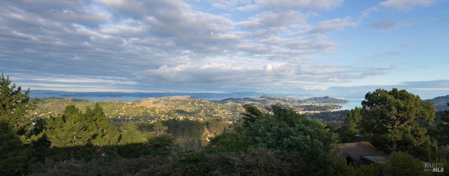 Detail Gallery Image 46 of 60 For 20 Palm Way, Mill Valley,  CA 94941 - 4 Beds | 3 Baths