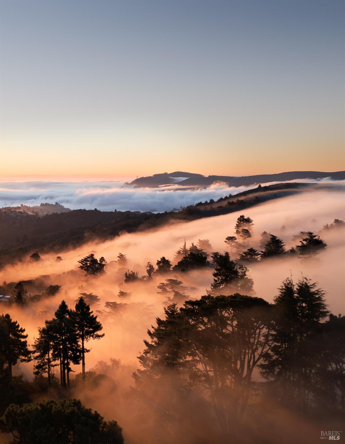 Detail Gallery Image 54 of 60 For 20 Palm Way, Mill Valley,  CA 94941 - 4 Beds | 3 Baths