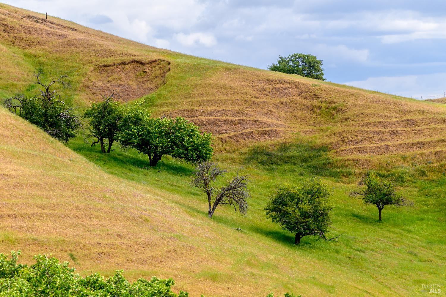 Detail Gallery Image 9 of 10 For 0 Gibson Canyon Rd, Vacaville,  CA 95688 - – Beds | – Baths
