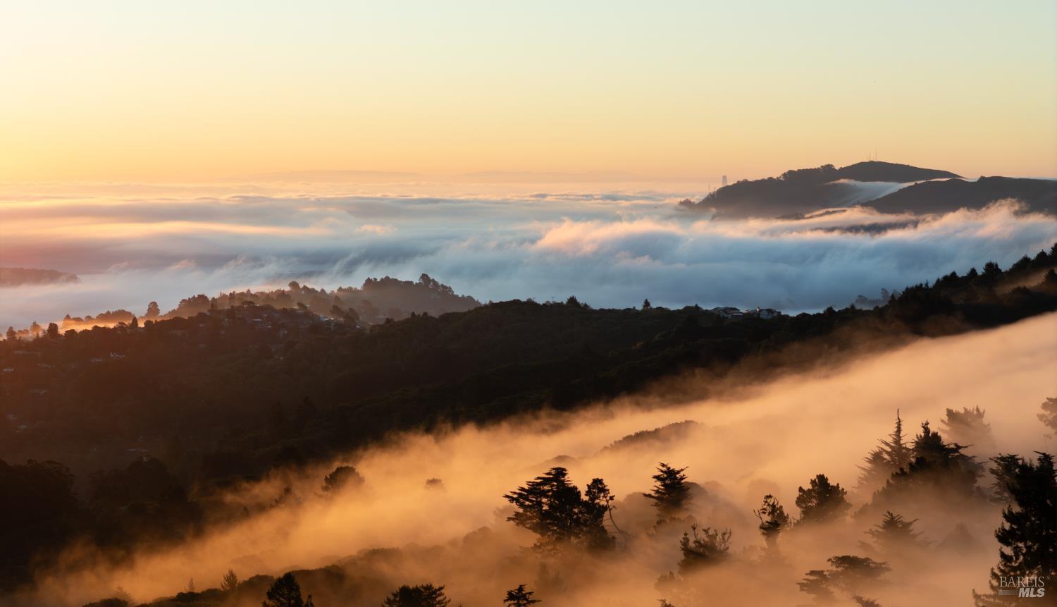 Detail Gallery Image 55 of 60 For 20 Palm Way, Mill Valley,  CA 94941 - 4 Beds | 3 Baths