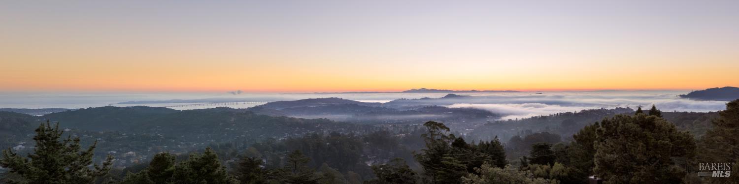 Detail Gallery Image 51 of 60 For 20 Palm Way, Mill Valley,  CA 94941 - 4 Beds | 3 Baths