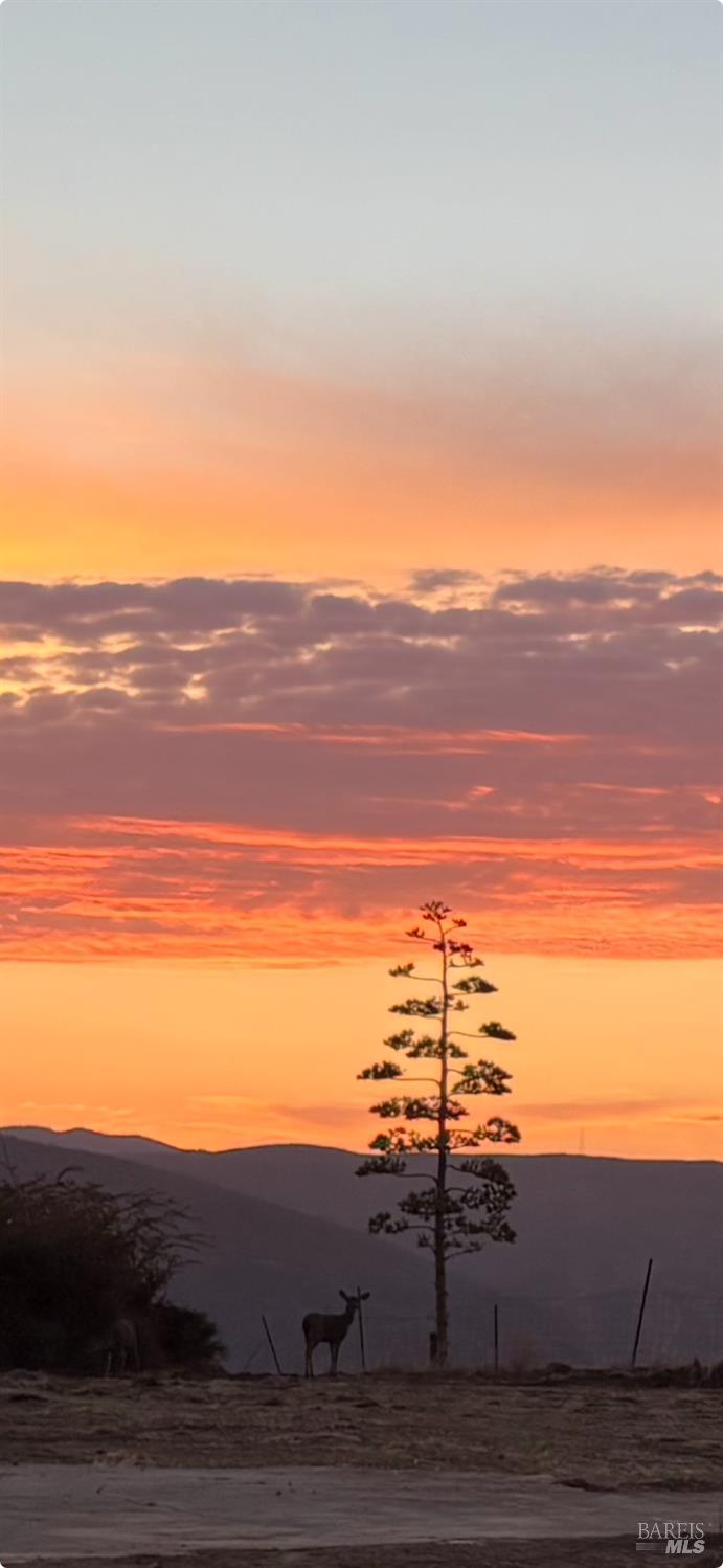 Detail Gallery Image 2 of 32 For 1065 Rimrock Dr, Napa,  CA 94558 - – Beds | – Baths