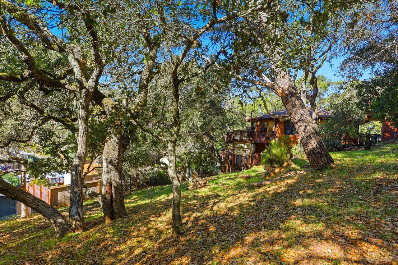 Detail Gallery Image 32 of 33 For 50 Oak Ave, Novato,  CA 94945 - 3 Beds | 2 Baths