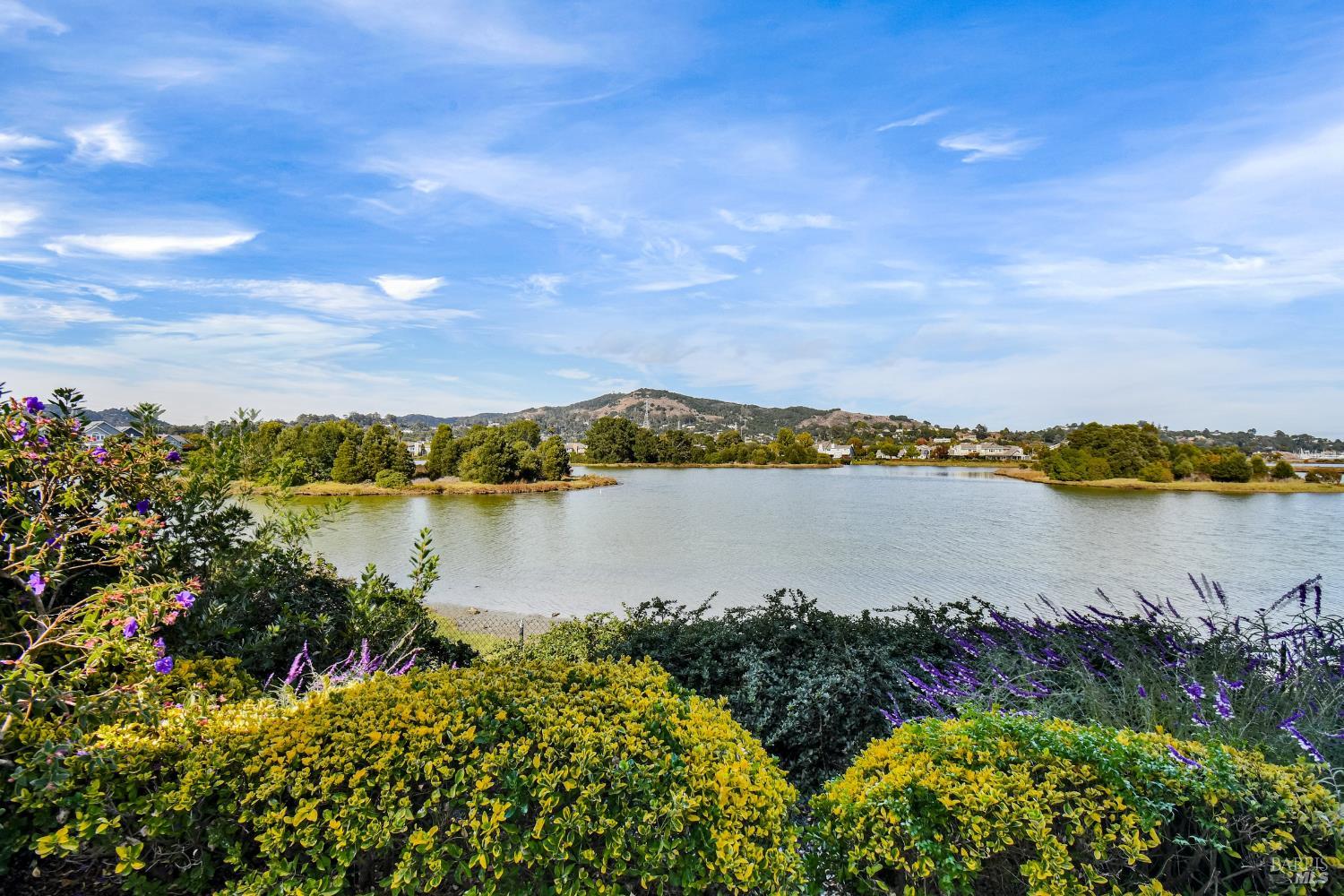 Detail Gallery Image 2 of 35 For Address Is Not Disclosed, San Rafael,  CA 94901 - 3 Beds | 2/1 Baths