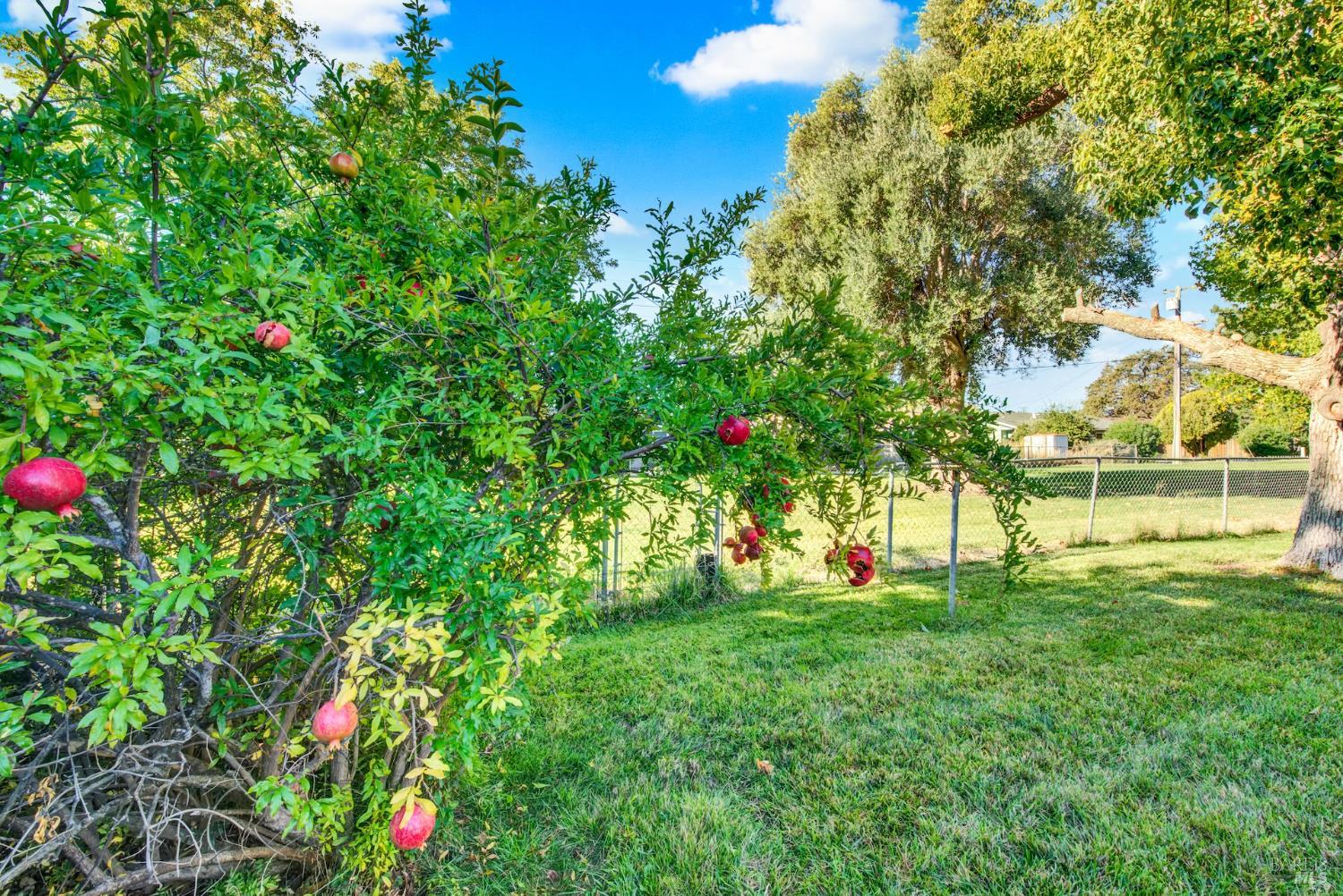 Detail Gallery Image 40 of 52 For 171 Mckinley Cir, Vacaville,  CA 95687 - 2 Beds | 1 Baths