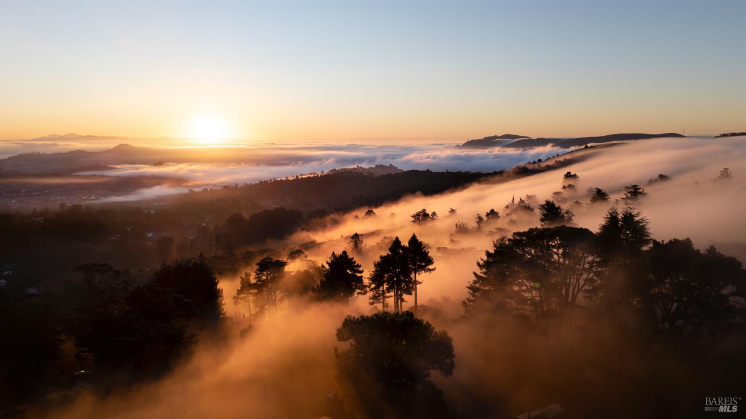 Detail Gallery Image 56 of 60 For 20 Palm Way, Mill Valley,  CA 94941 - 4 Beds | 3 Baths