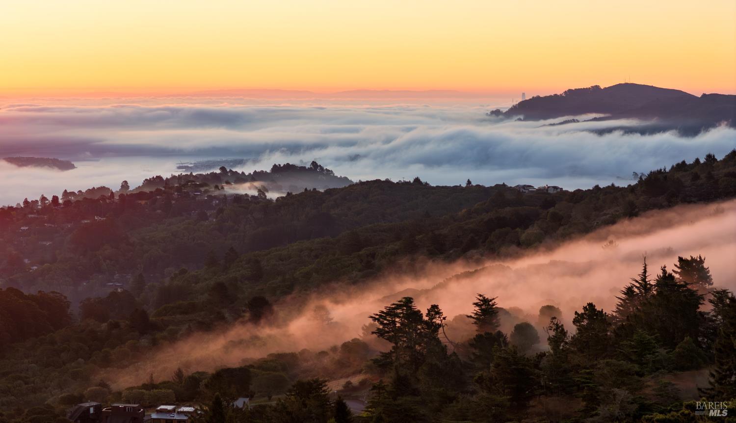 Detail Gallery Image 52 of 60 For 20 Palm Way, Mill Valley,  CA 94941 - 4 Beds | 3 Baths