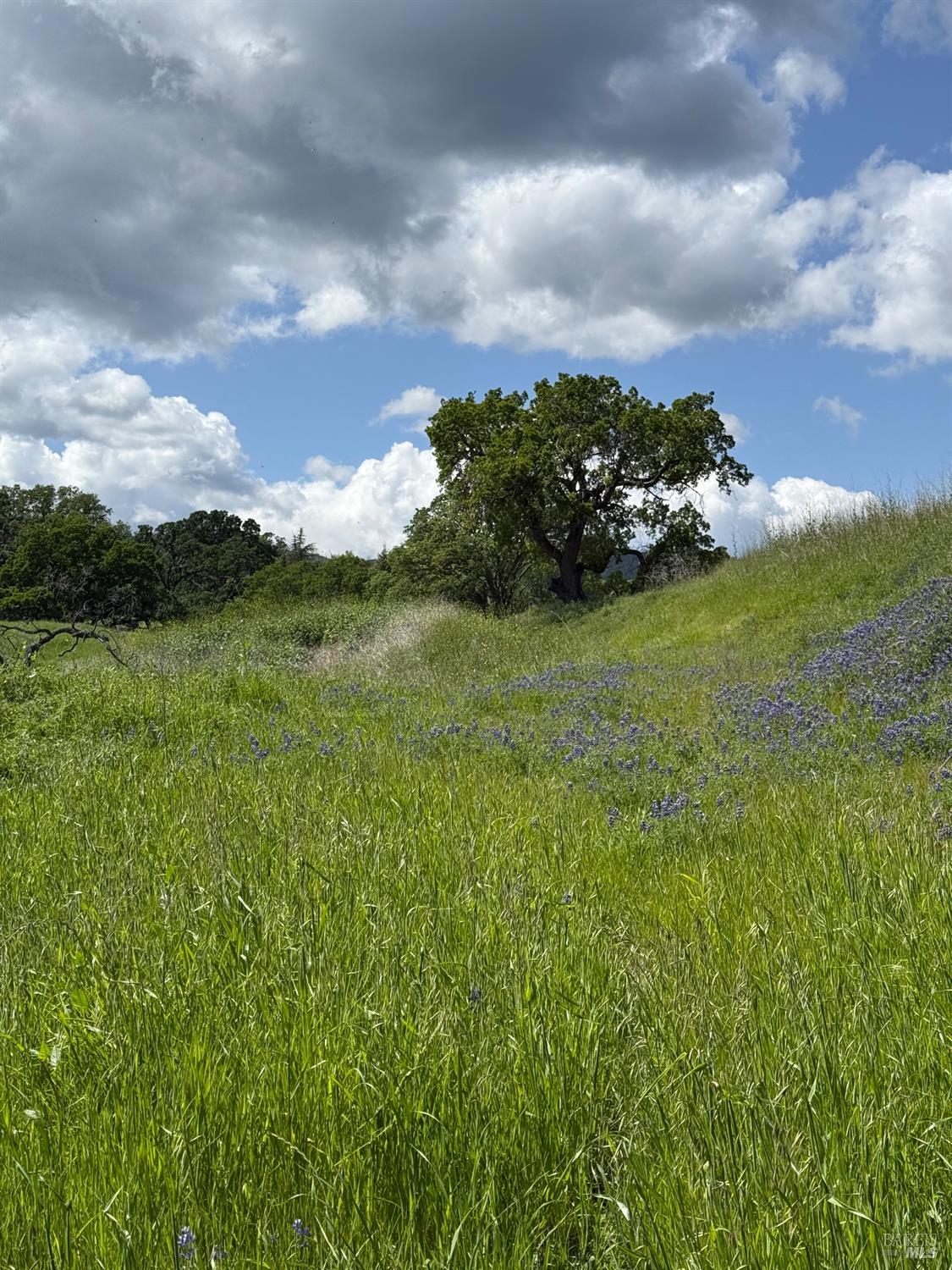 Detail Gallery Image 6 of 15 For 3757 Wild Oak Trl, Vacaville,  CA 95688 - – Beds | – Baths