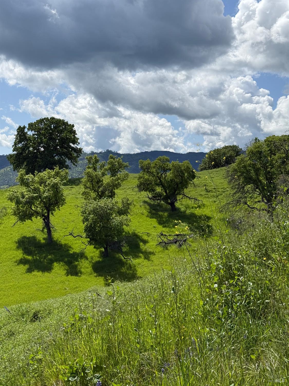 Detail Gallery Image 7 of 15 For 3757 Wild Oak Trl, Vacaville,  CA 95688 - – Beds | – Baths