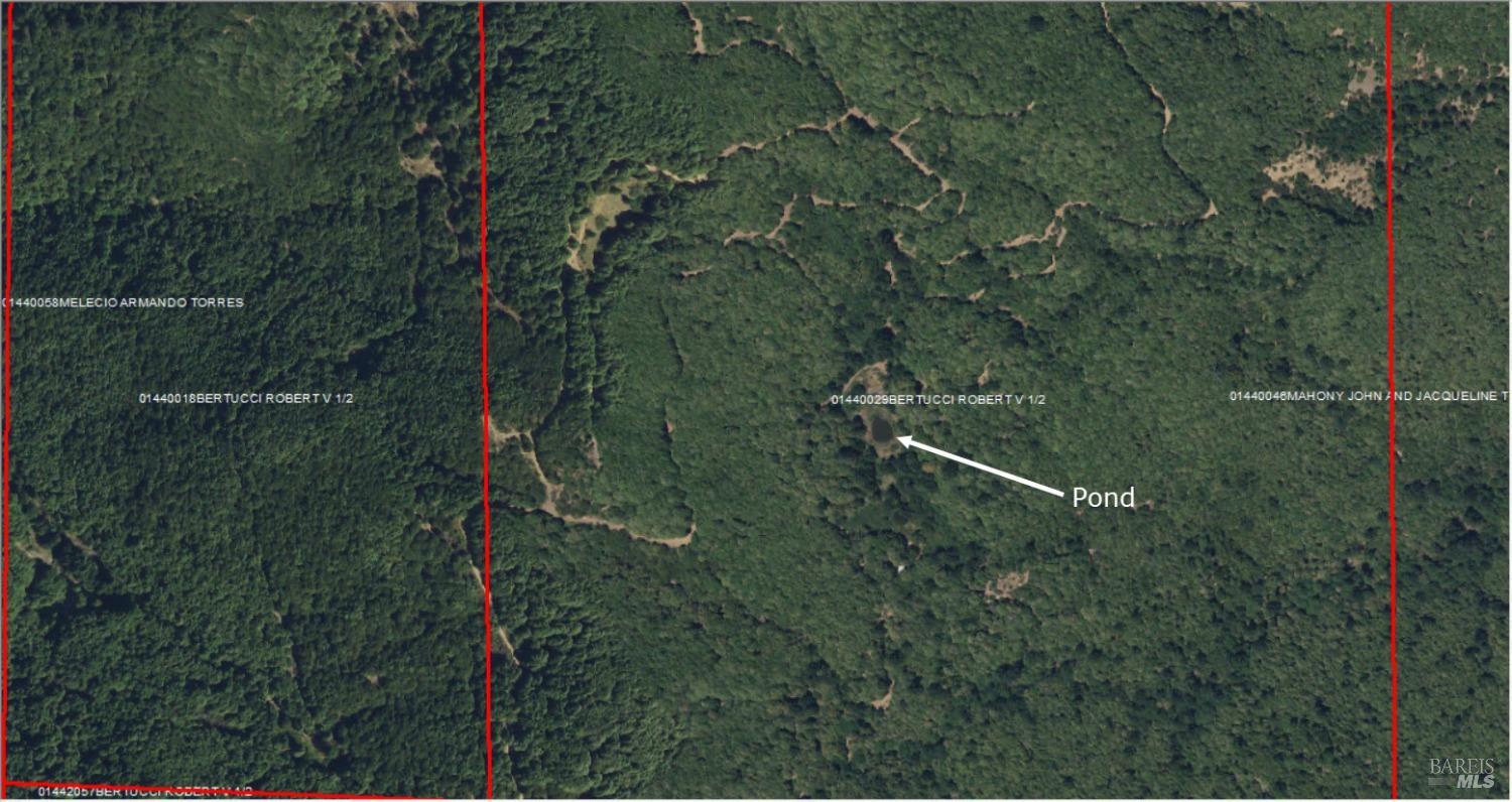 Detail Gallery Image 7 of 8 For 0 Branscomb Rd, Laytonville,  CA 95454 - – Beds | – Baths