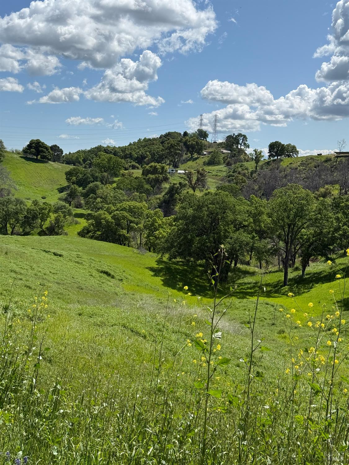 Detail Gallery Image 11 of 15 For 3757 Wild Oak Trl, Vacaville,  CA 95688 - – Beds | – Baths