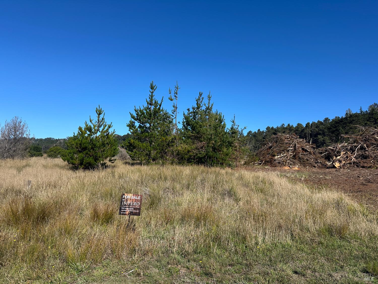 Detail Gallery Image 3 of 30 For 135 Shepherds Close Unkn, The Sea Ranch,  CA 95497 - – Beds | – Baths