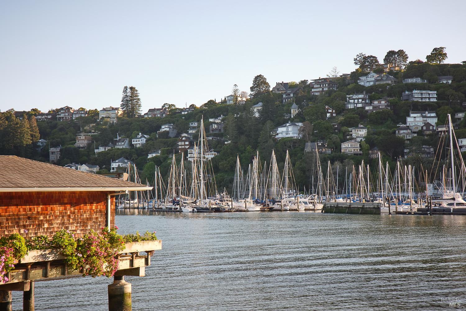 Detail Gallery Image 32 of 33 For 125 Belvedere Ave, Belvedere,  CA 94920 - 5 Beds | 5/5 Baths