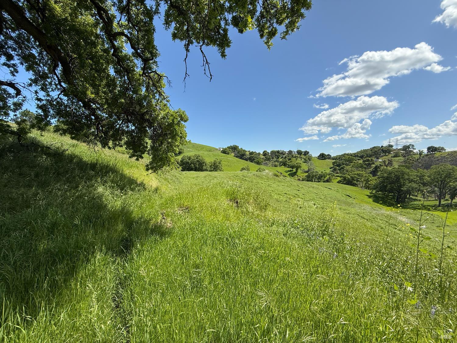 Detail Gallery Image 15 of 15 For 3757 Wild Oak Trl, Vacaville,  CA 95688 - – Beds | – Baths