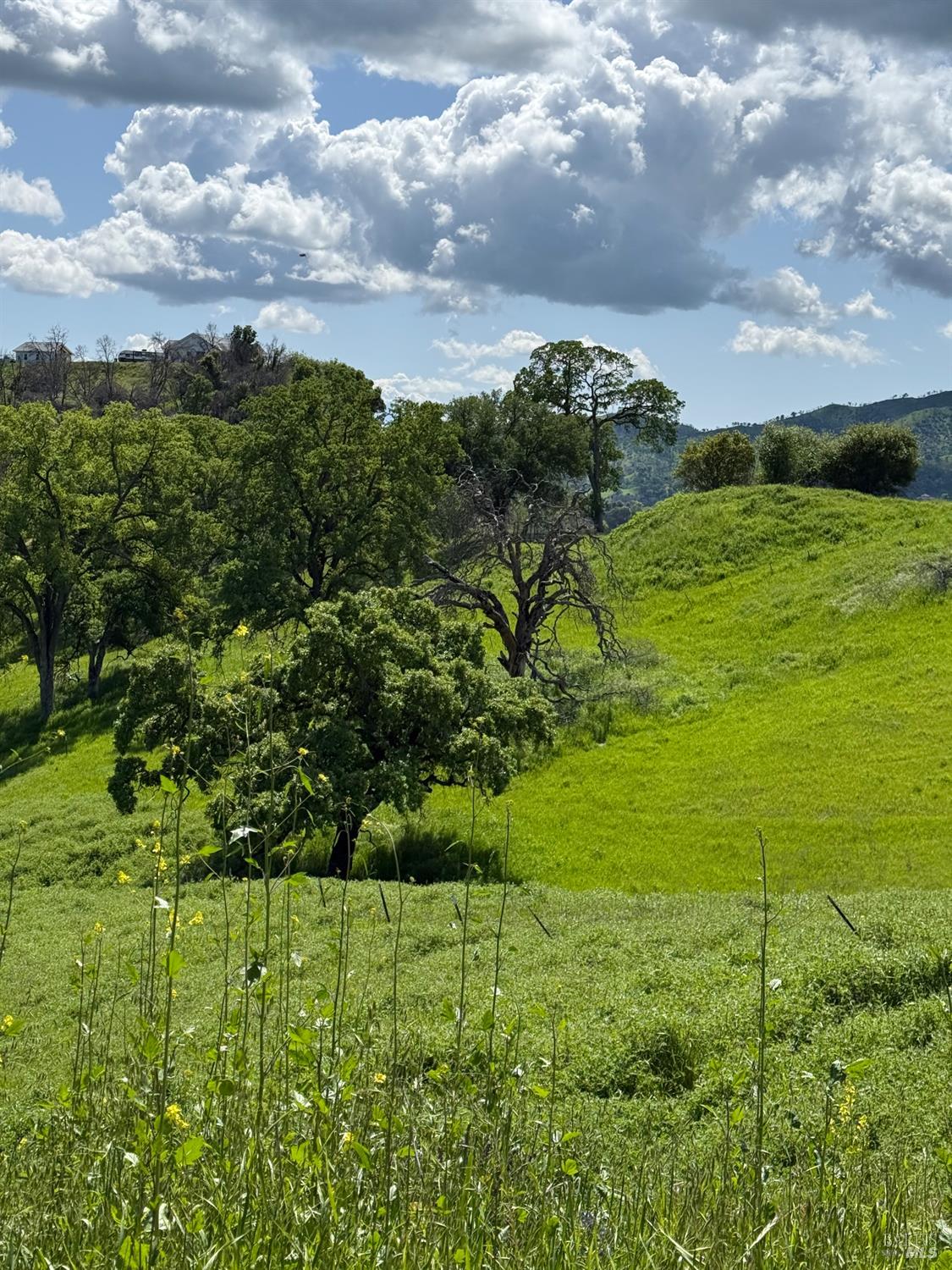 Detail Gallery Image 10 of 15 For 3757 Wild Oak Trl, Vacaville,  CA 95688 - – Beds | – Baths