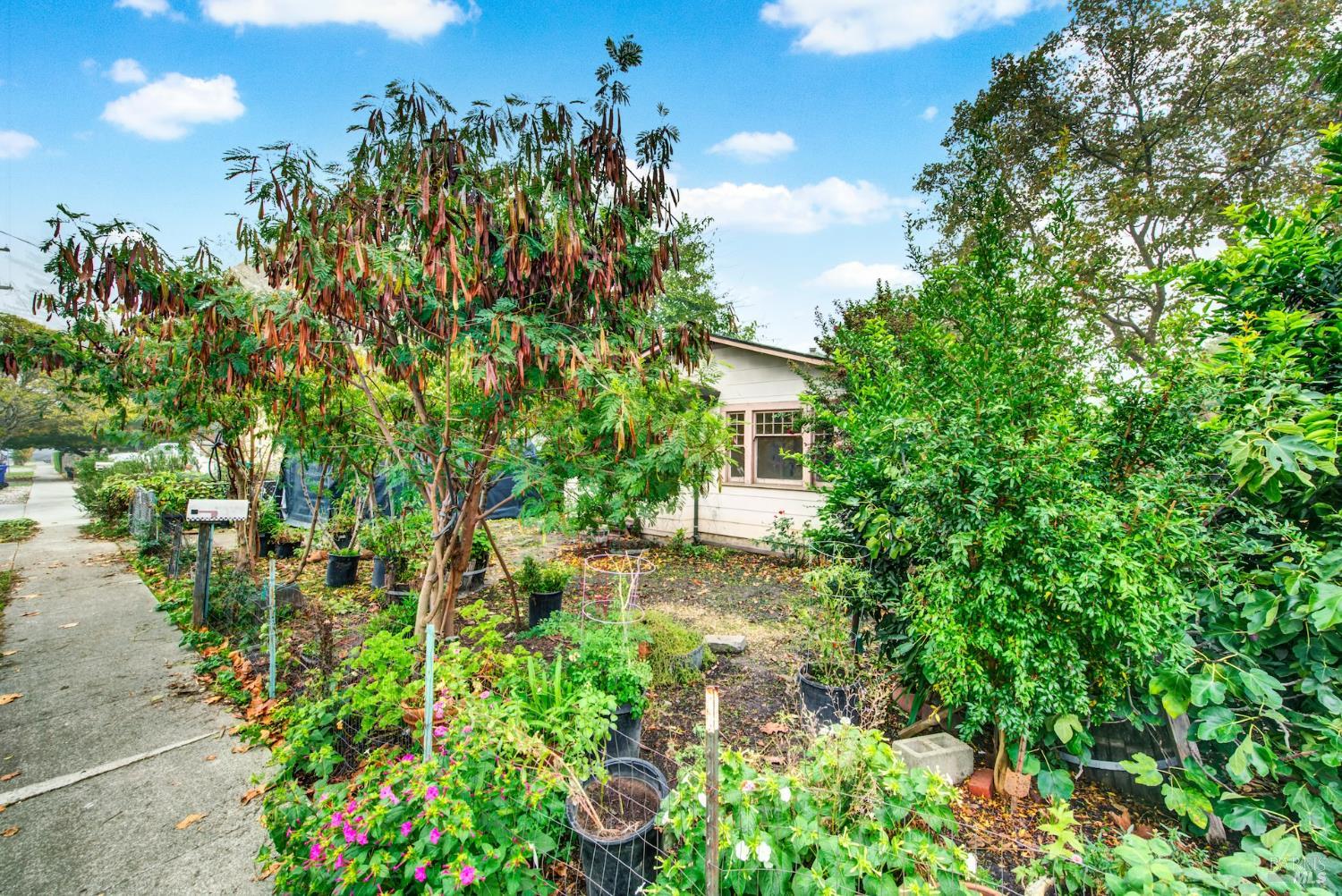 Detail Gallery Image 4 of 36 For 1671 Park Ave, Napa,  CA 94558 - 2 Beds | 1 Baths