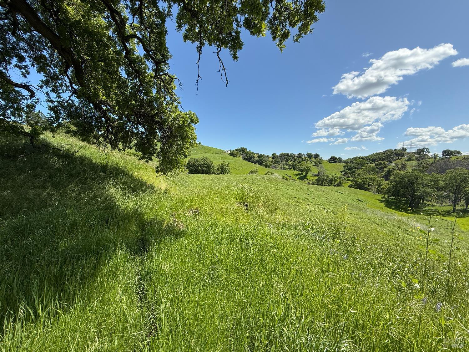 Front Image Thumbnail for BA325095212