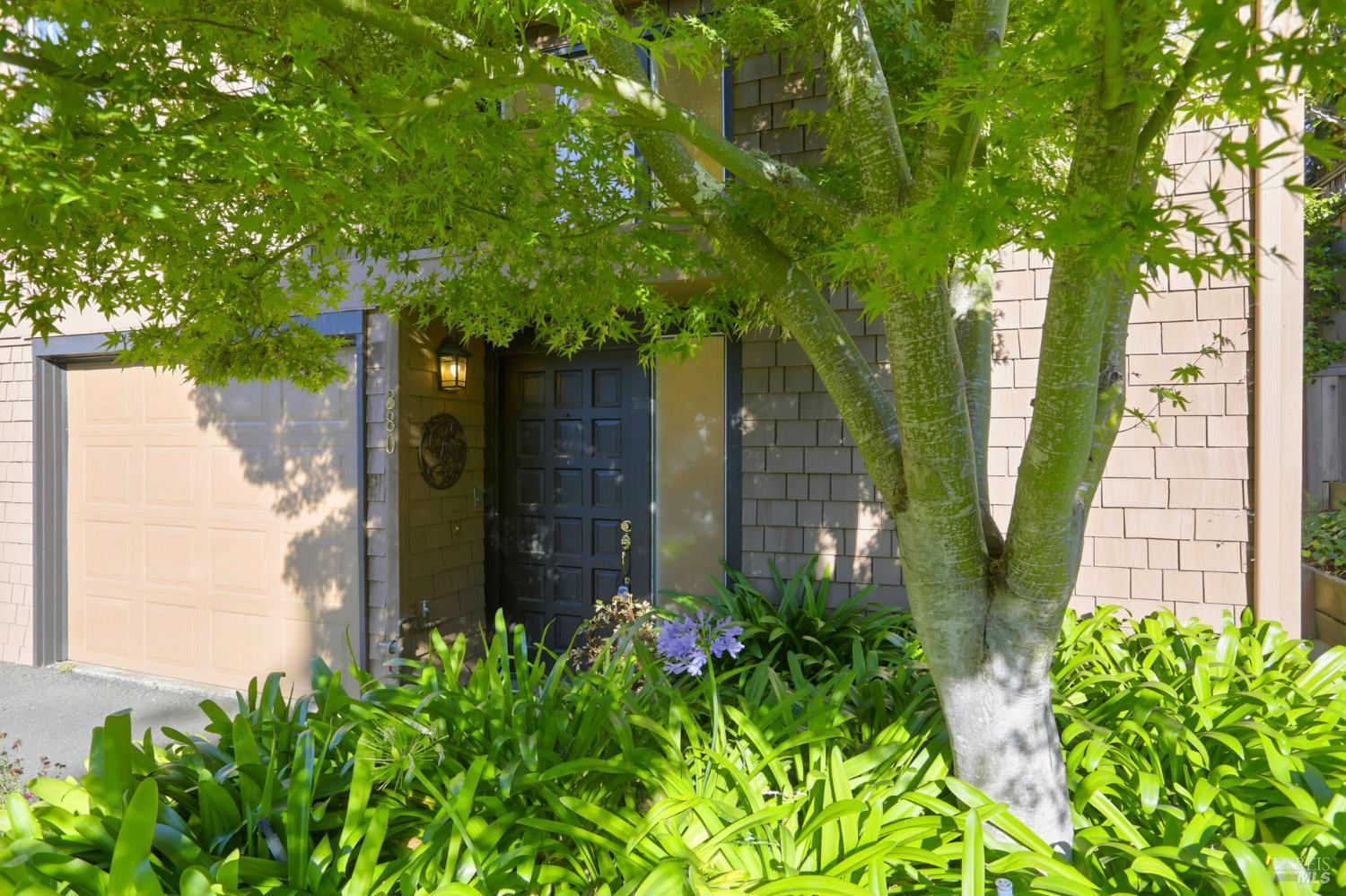 Detail Gallery Image 4 of 41 For 380 Sunset Way, Mill Valley,  CA 94941 - 3 Beds | 2/1 Baths