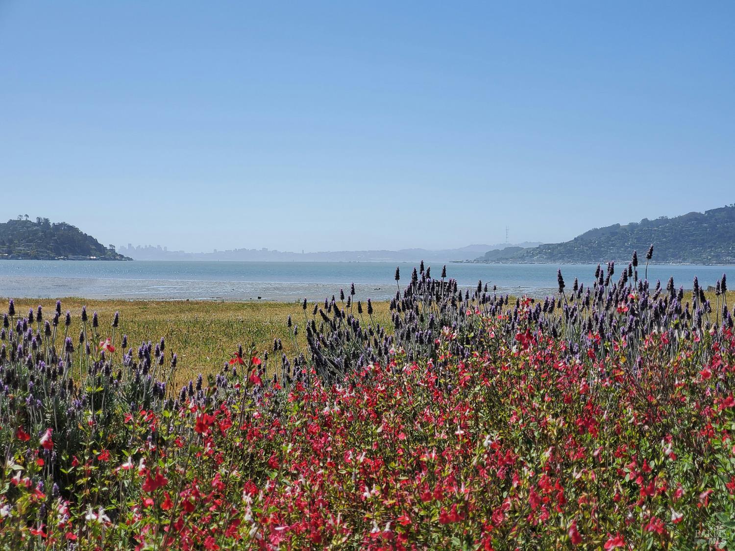 Detail Gallery Image 27 of 33 For 125 Belvedere Ave, Belvedere,  CA 94920 - 5 Beds | 5/5 Baths