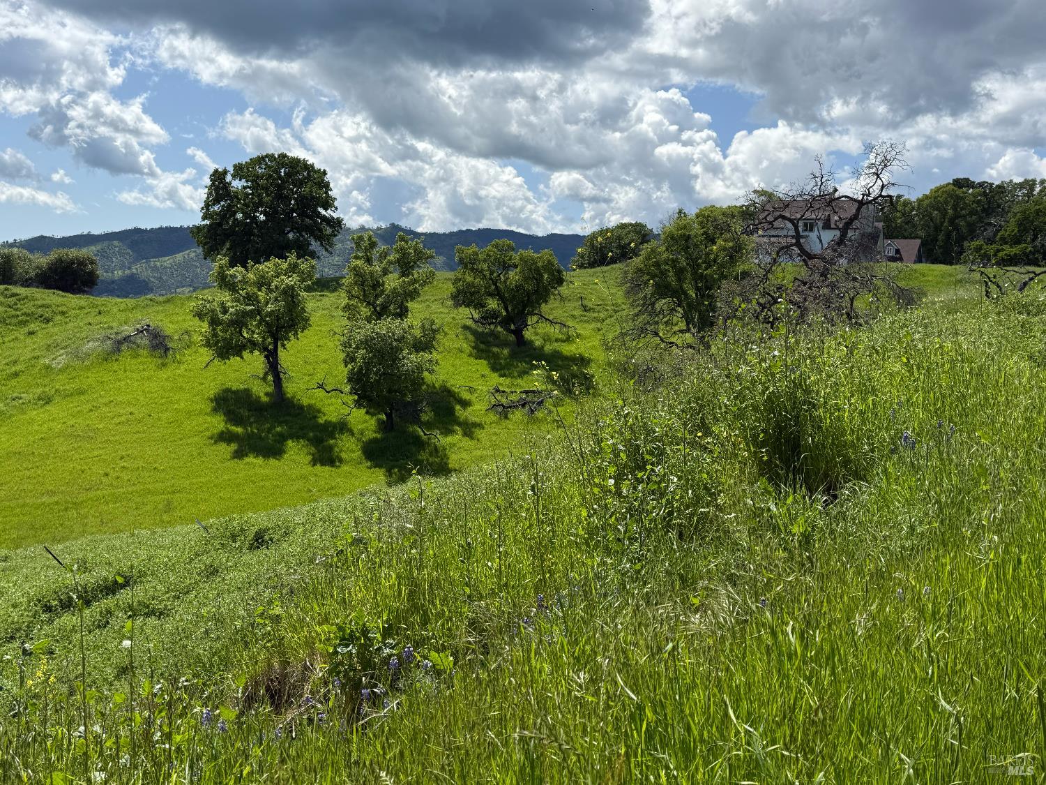 Detail Gallery Image 5 of 15 For 3757 Wild Oak Trl, Vacaville,  CA 95688 - – Beds | – Baths