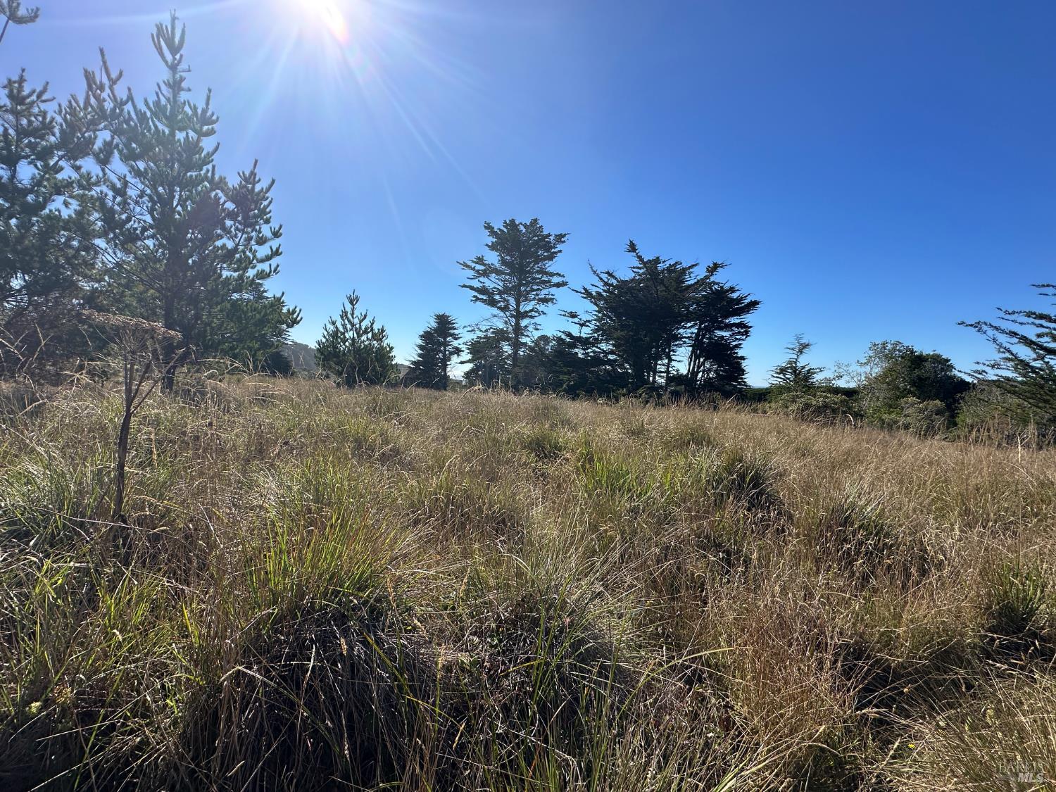 Detail Gallery Image 26 of 30 For 135 Shepherds Close Unkn, The Sea Ranch,  CA 95497 - – Beds | – Baths